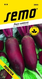 Řepa salátová Renova